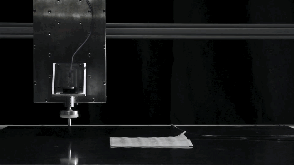 animation.gif