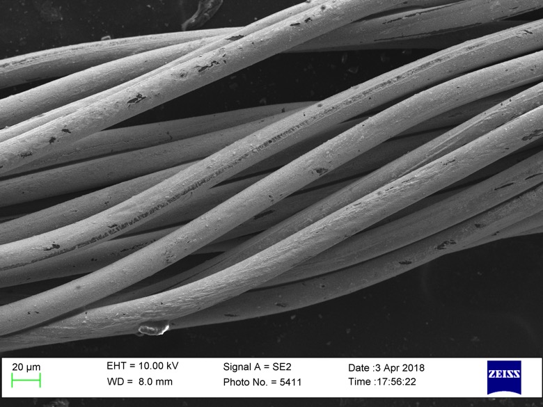 Conductive fibers scanning electron micrographs